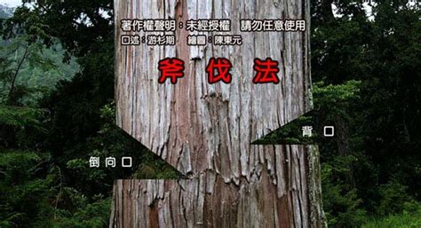 砍樹注意事項|圖解：大元山林場伐木規則與方法